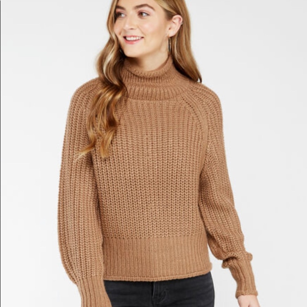 NWT Mock Sweater